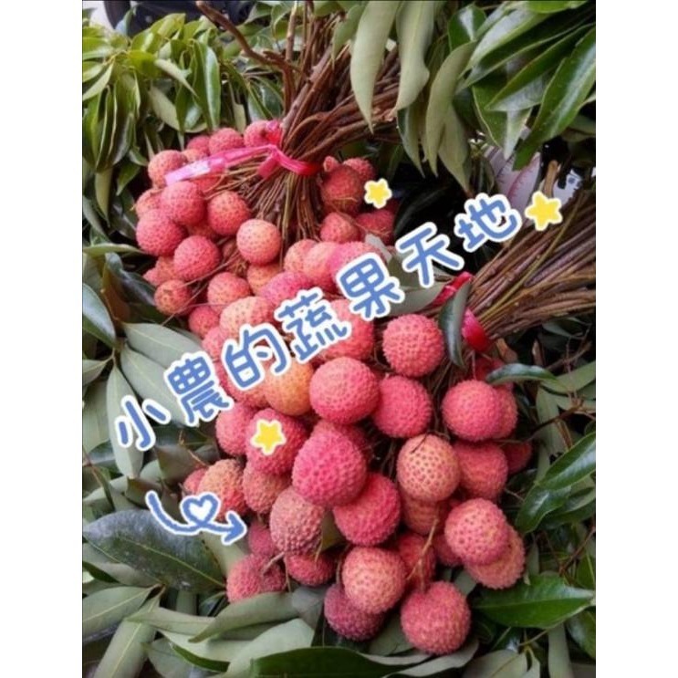 糯米荔枝-規格圖1