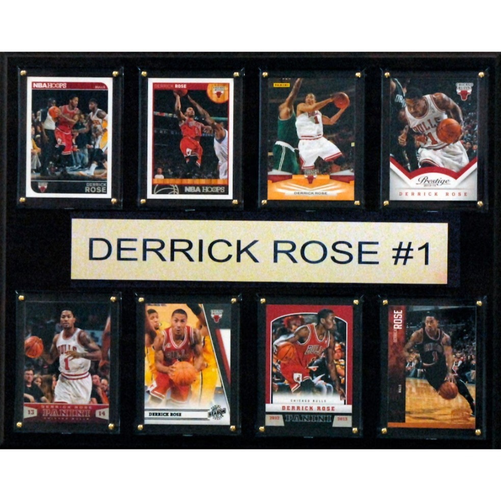 球員卡匾額（大）