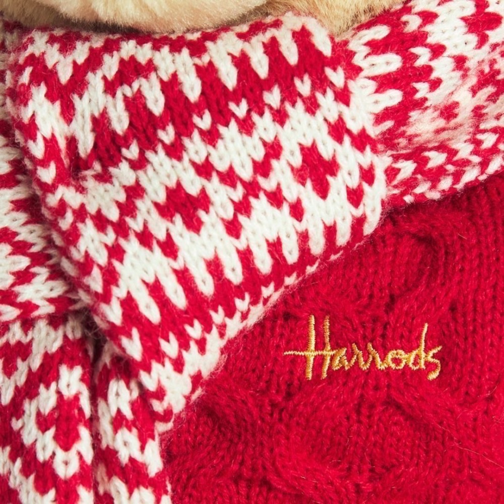 《A’sD 預購🇬🇧正品》Harrods Plush Dressed Easter 睡覺小熊-細節圖6