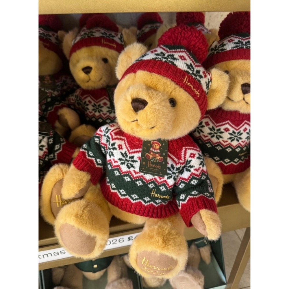 《A’sD 預購🇬🇧正品》Harrods Plush Dressed Easter 睡覺小熊-細節圖3