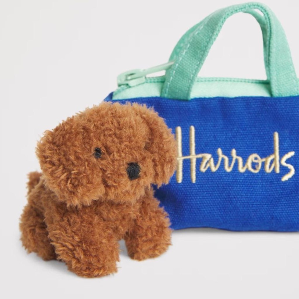 《A’sD 現貨 🇬🇧 正品》Harrods 飛天馬 鑰匙圈Green Man Bear Keyring 雲朵-細節圖7