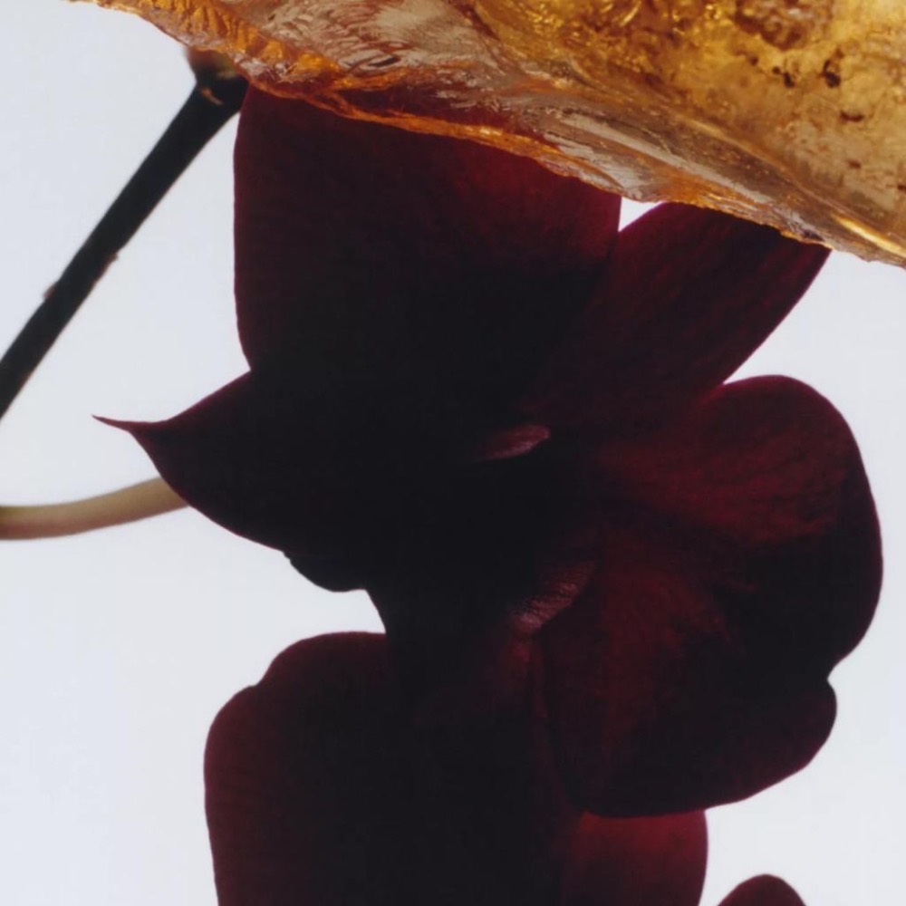 《A’sD 現貨🇺🇸》Jo Malone London Body Crème 潤膚霜 身體乳-細節圖5