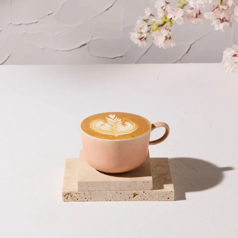 《A’sD 預購🇯🇵正品》Blue Bottle 櫻花杯 藍瓶咖啡 櫻花拿鐵杯 限定-細節圖4