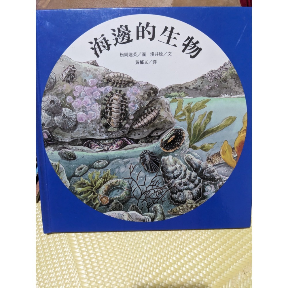 海邊的生物