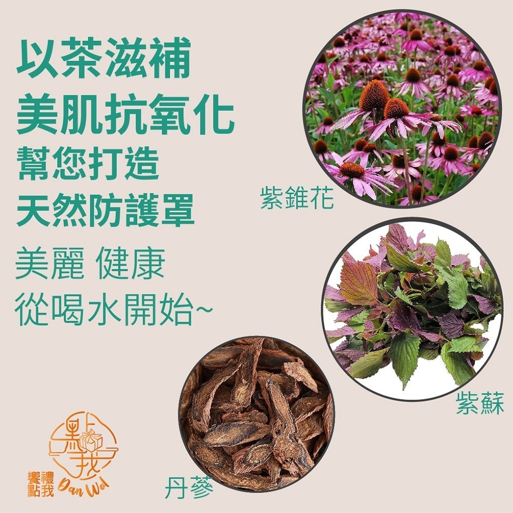 【饗禮點我】紫錐花養生茶/美顏茶 任選2盒（無咖啡因 獨立茶包）年節禮盒 伴手禮-細節圖5