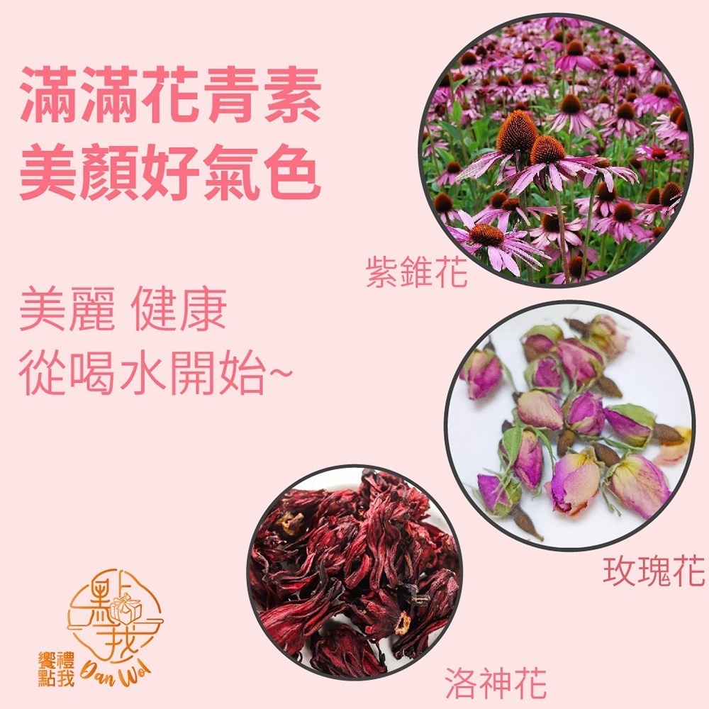 【饗禮點我】紫錐花養生茶/美顏茶 任選2盒（無咖啡因 獨立茶包）年節禮盒 伴手禮-細節圖7