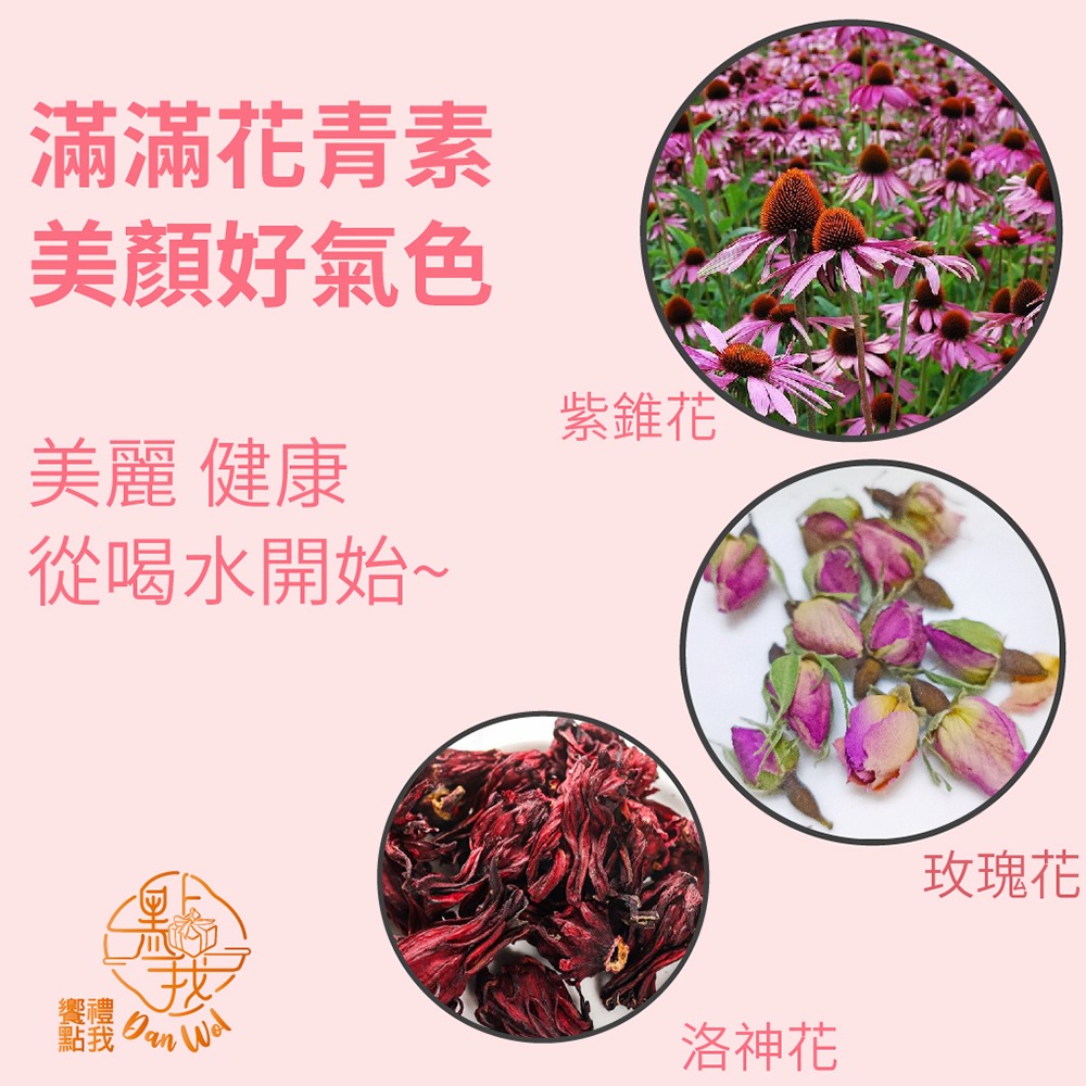 【饗禮點我】紫錐花花茶|防禦茶| 1+1組合品 養生茶|美顏茶 無咖啡因 調整體質 維持健康-細節圖7