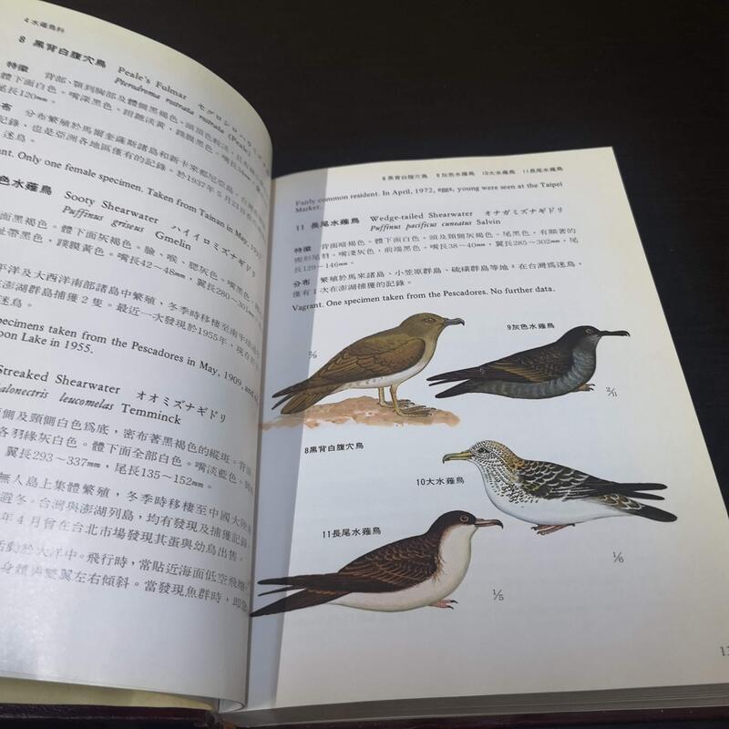 【享讀二手書DOA】《台灣鳥類彩色圖鑑(附中英日學名索引對照表)  》張萬福 著-細節圖4