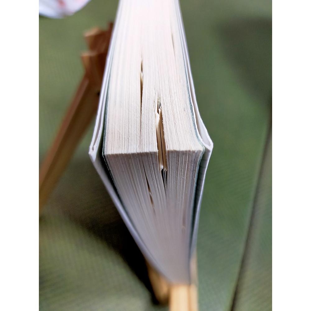 【享讀書房3F3】《破解癌症：癌症是「症」不是「病」—黃鼎殷醫師的身心靈整合療法》黃鼎殷 / 新自然主義-細節圖2