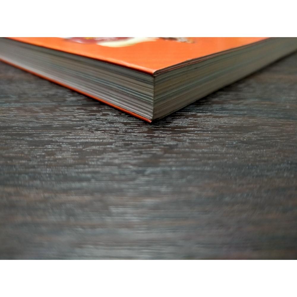 【享讀書房前H4】《給中小學生的世界歷史 (中世紀卷) 全彩插圖版》維吉爾．希利爾 / 小樹文化-細節圖2