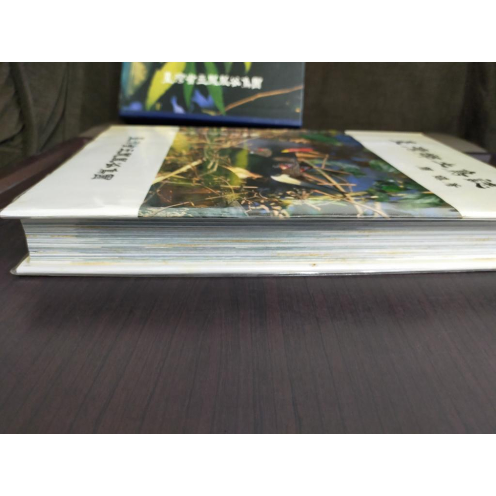 【享讀書房前H6】《臺灣鄉土鳥誌》周鎮 / 臺灣省立鳳凰谷鳥園-細節圖3