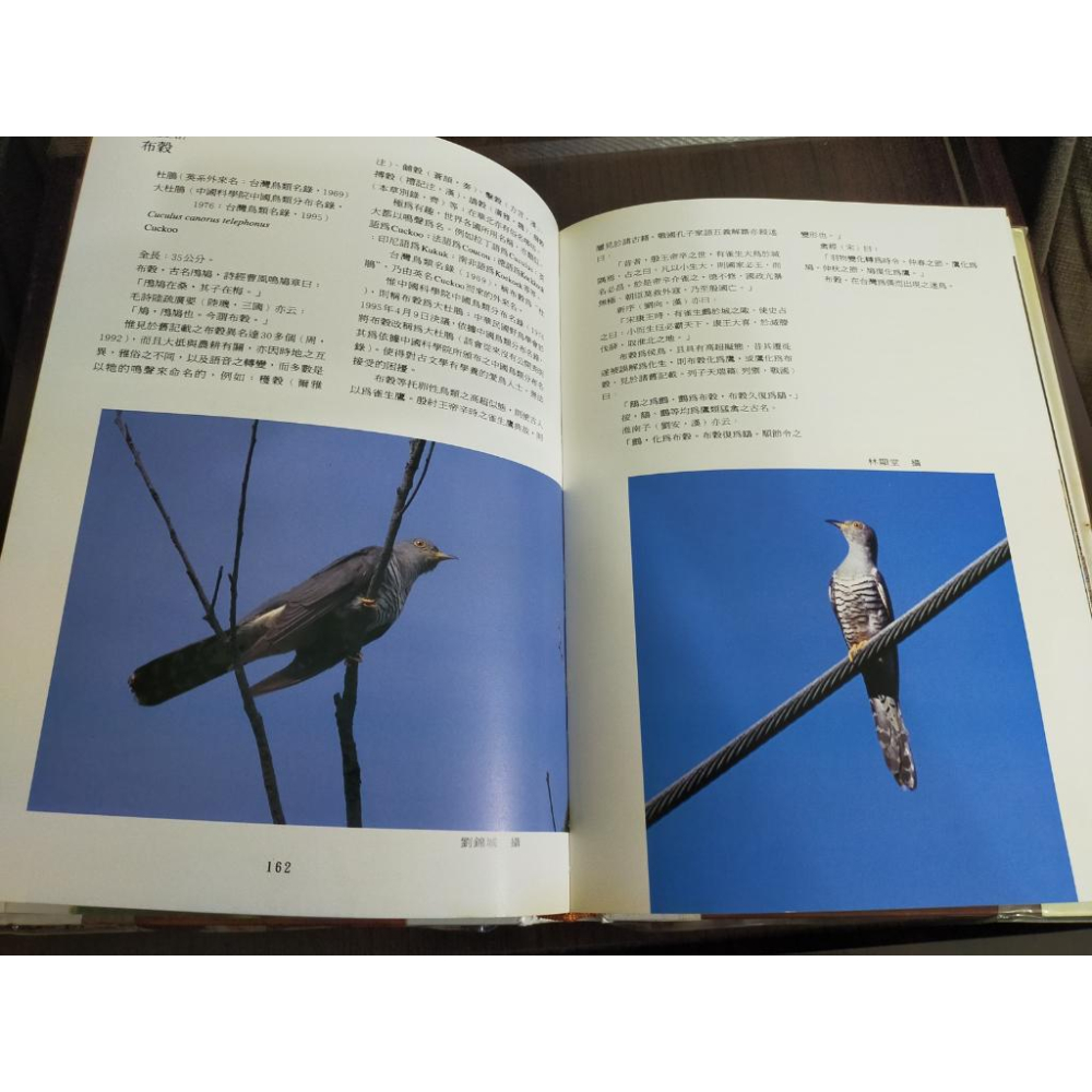 【享讀書房前H6】《臺灣鄉土鳥誌》周鎮 / 臺灣省立鳳凰谷鳥園-細節圖4