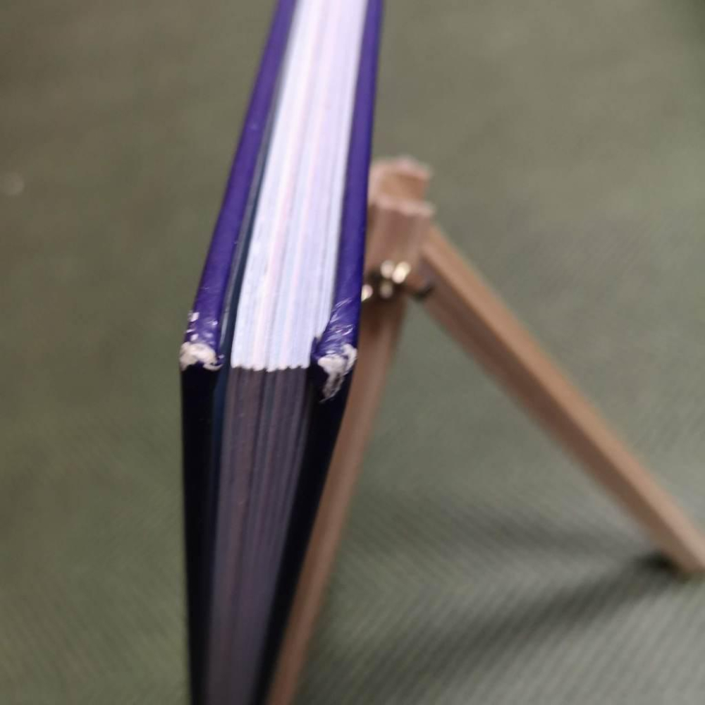 【享讀書房前H4】《THE MAGICAL UNICORN SOCIETY魔法獨角獸社會 官方手冊》-細節圖2