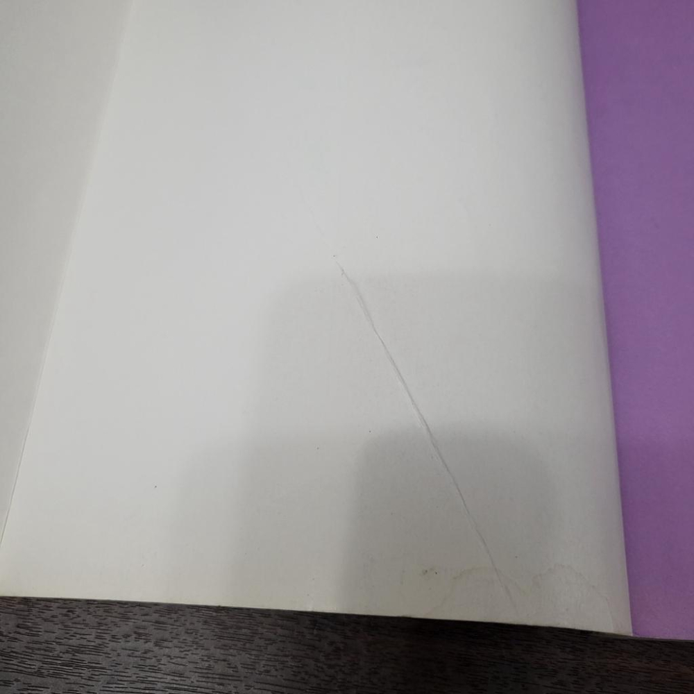 【享讀書房DOZ】《遊樂園歷險記—機智歷險漫畫書1》薑一錫 作者，李永鎬 繪圖 / 南極熊-細節圖3