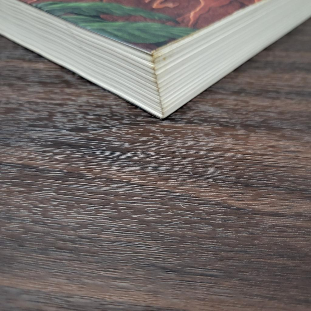 【享讀書房前D1】《童謠的死亡預言》綾辻行人 / 皇冠-細節圖2