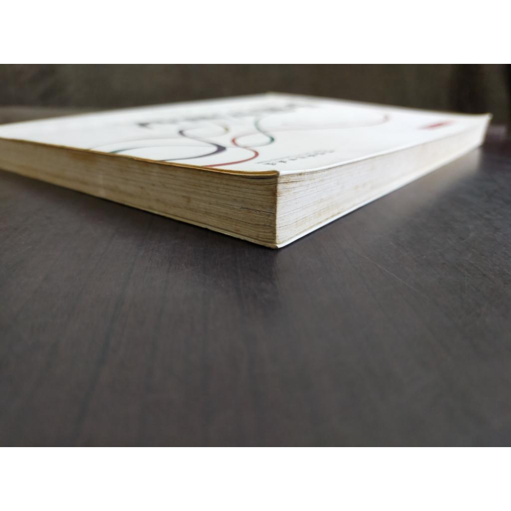 【享讀書房前D4】《中國漫畫史 (簡體書)》畢克官、黃遠林 / 文化藝術出版社-細節圖2