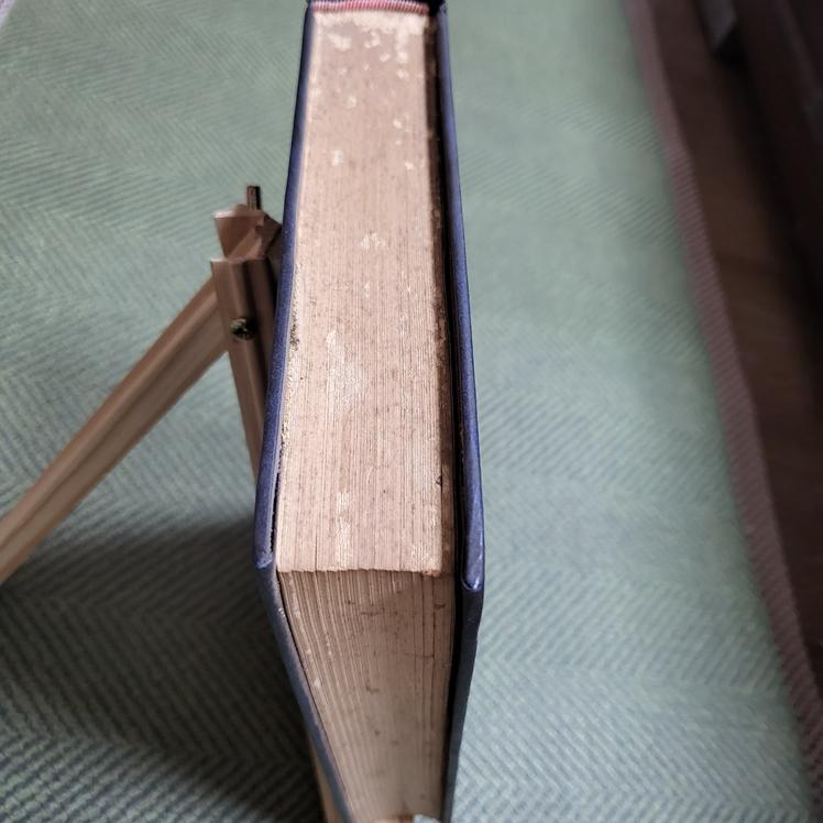 【享讀書房P5】《大字白話 台灣歷史演義》清 江日昇撰 / 泰昌書局-細節圖2