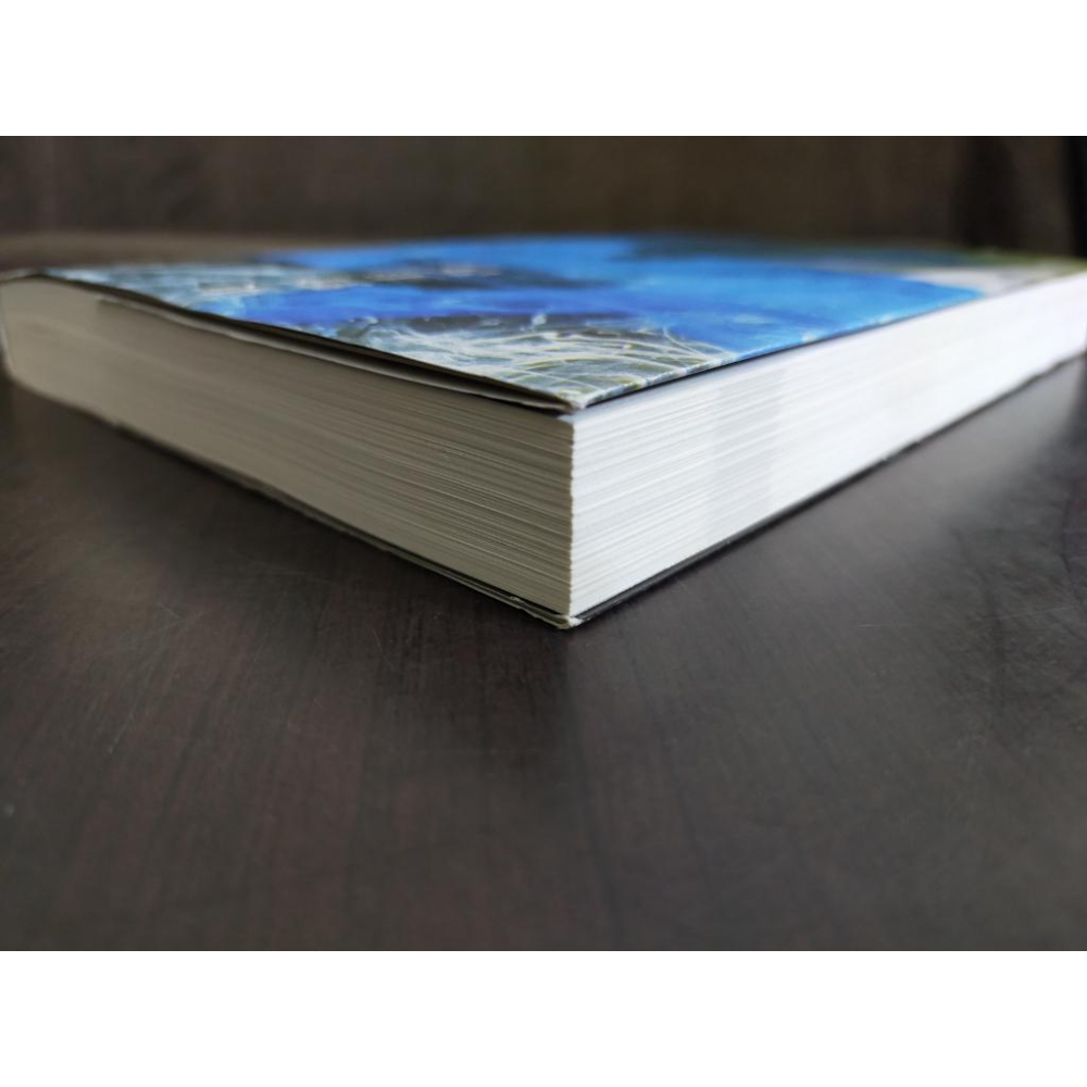 【享讀書房DOL】《徬徨之刃》東野圭吾 /皇冠-細節圖2