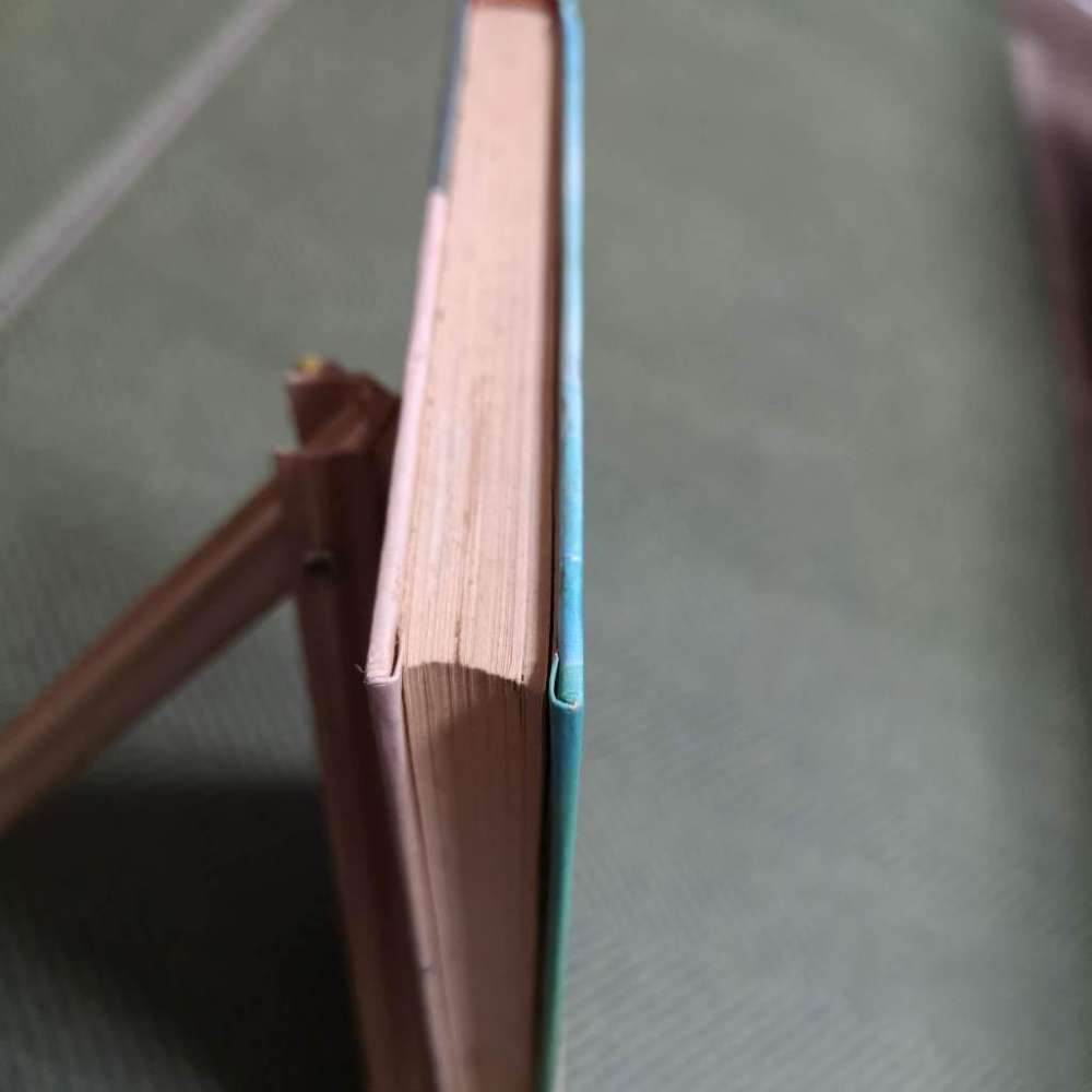 【享讀書房R3】《密教大守護：真實光明的神通—盧勝彥文集112》蓮生活佛 / 大日出版-細節圖2