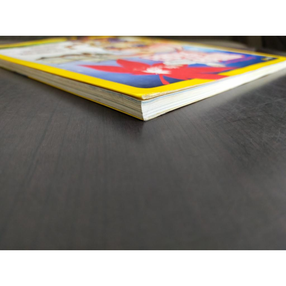 【享讀書房DOZ】《楓之谷冒險飛船 冒險的起點》劉柏園 / gamania-細節圖2