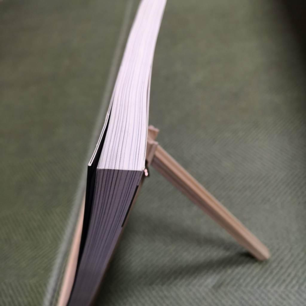 【享讀書房地1】《Nikon D800:我的出凡入聖之道 》Jeff Revell / 有意思-細節圖2