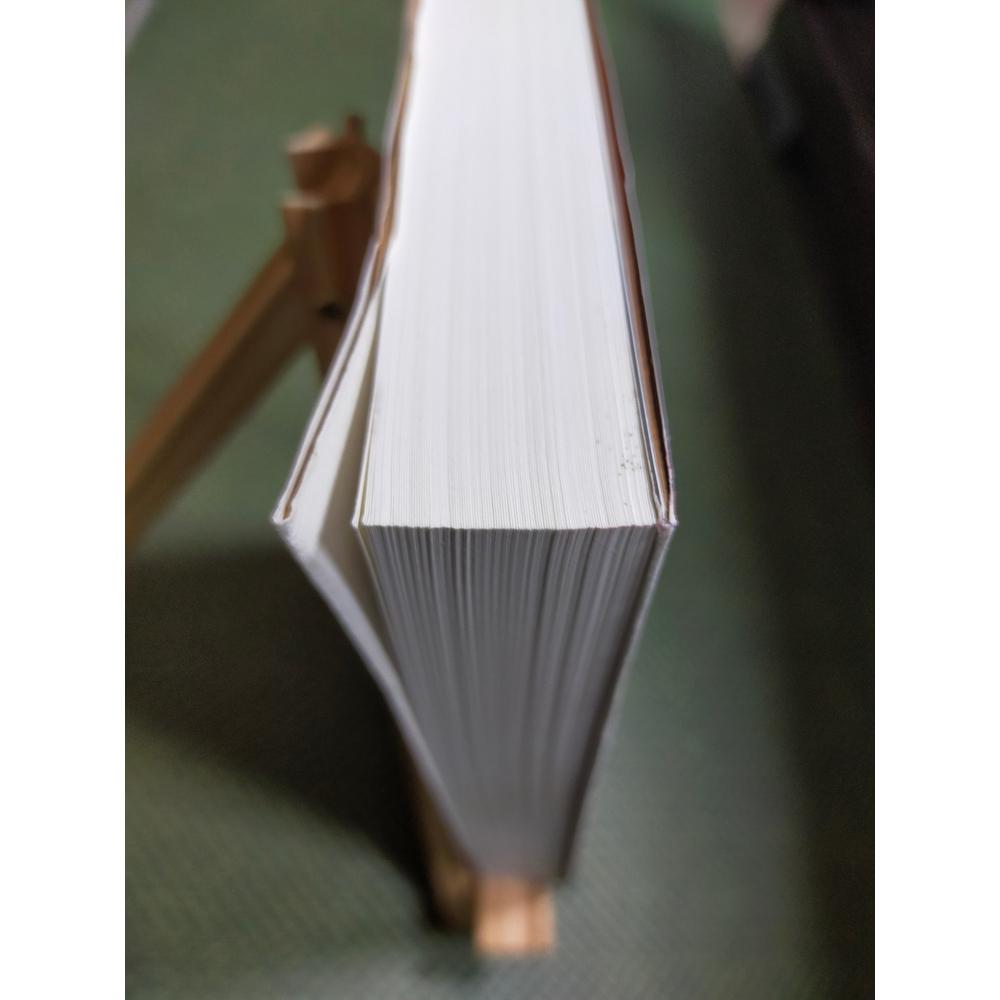 【享讀書房前H3】《刺客教條：文藝復興》奧利佛.波登 / 高寶-細節圖2