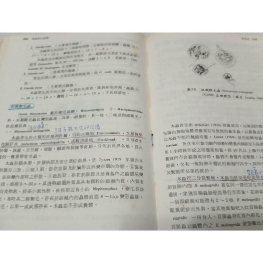 ▊二手大專 |g3▊《大學用書 家畜寄生蟲學》李永基 藝軒 9576161223 封面破損-細節圖4