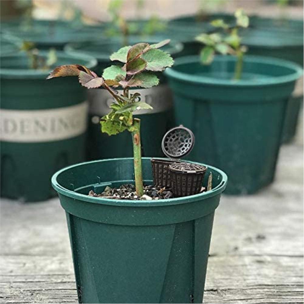 【夜市王】帶蓋肥料籃 可擕式根肥盒 水草肥料籃 10個15元-細節圖3