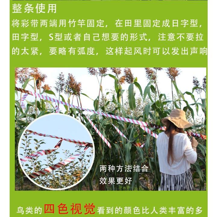 【夜市王】驅鳥彩帶 趕鳥反光飄帶七彩鐳射驅鳥帶 29元-細節圖3