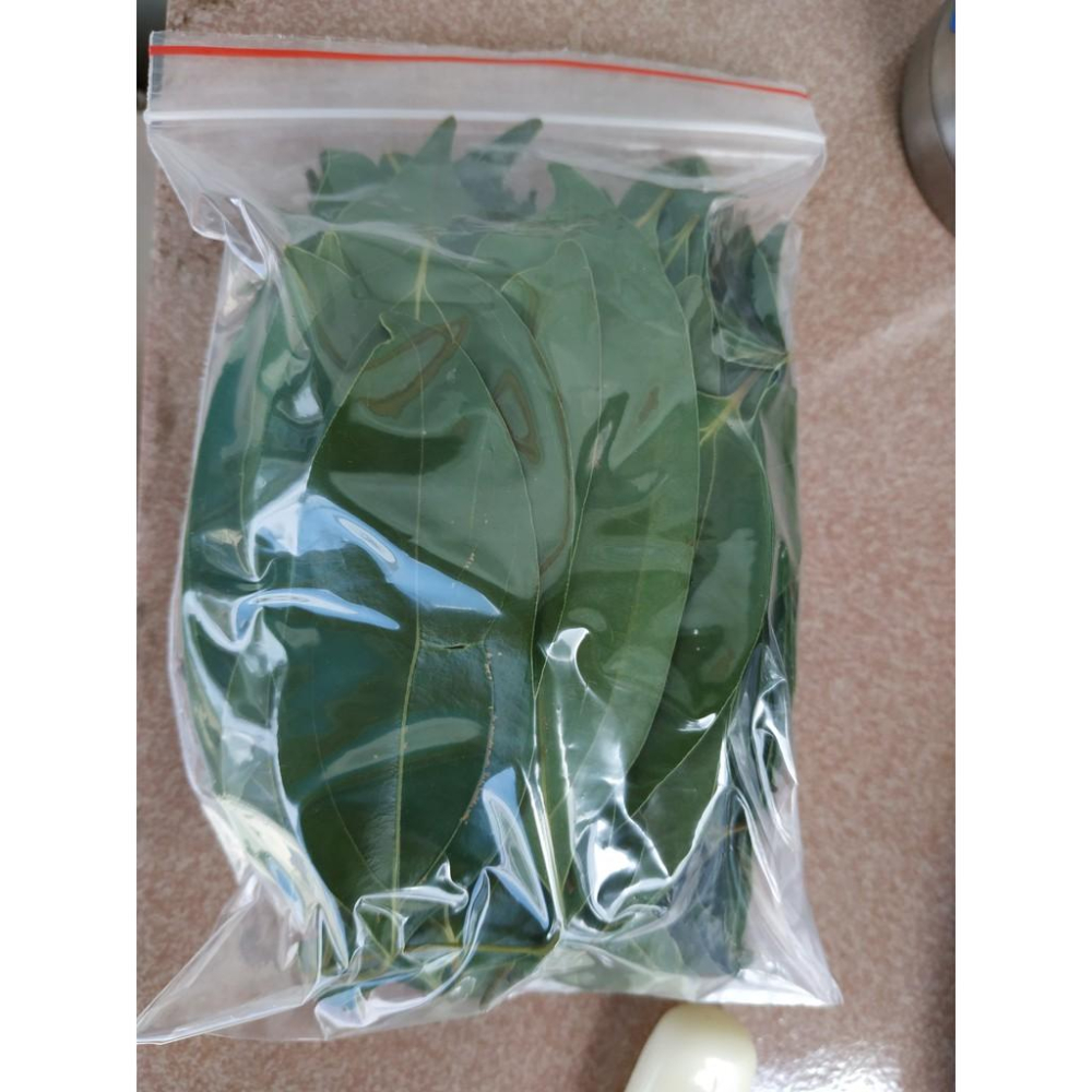 【夜市王】高海拔 土肉桂葉 50克49元-細節圖2