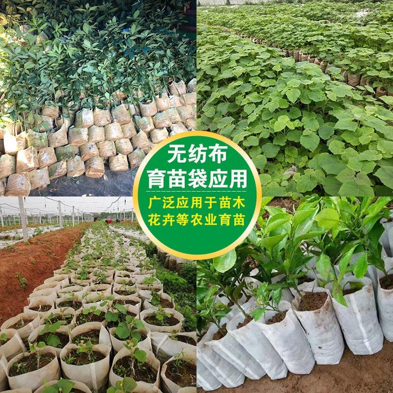 【夜市王】8*10無紡布育苗袋 種植袋100個25元-細節圖2