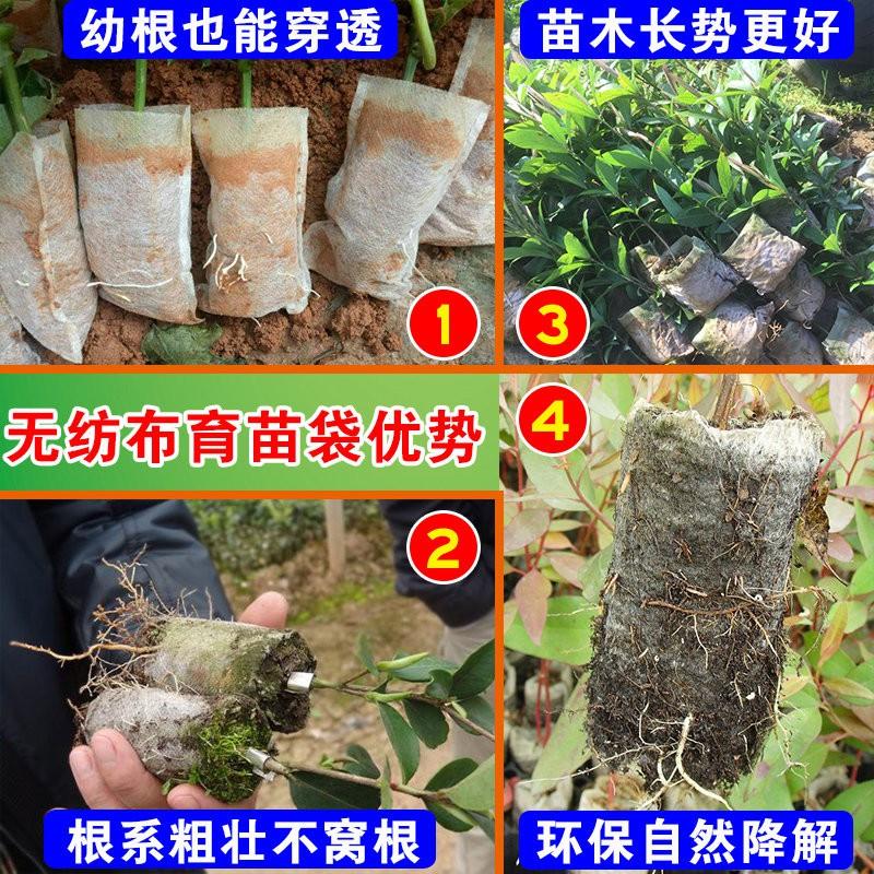 【夜市王】8*10無紡布育苗袋 種植袋100個25元-細節圖3