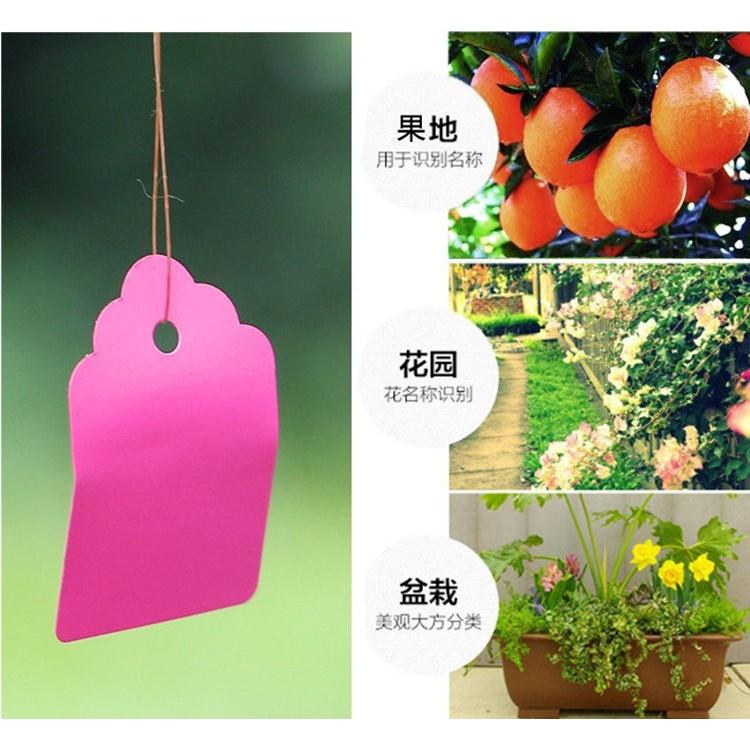 【夜市王】塑膠園藝掛牌 掛簽吊牌標籤100個裝19元-細節圖2