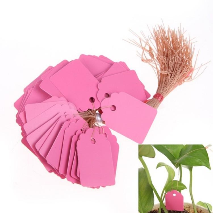 【夜市王】塑膠園藝掛牌 掛簽吊牌標籤100個裝19元-細節圖3