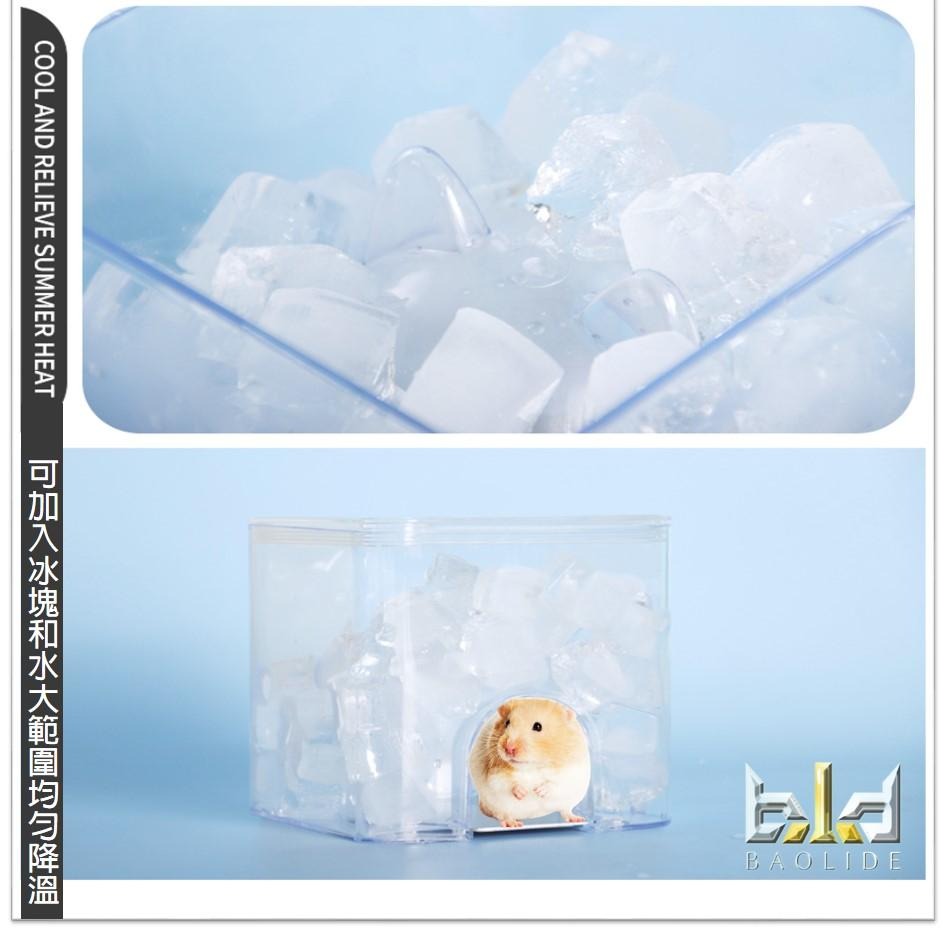 【現貨+免運!寵物消暑 】倉鼠屋 倉鼠窩 倉鼠躲避窩 黃金鼠窩 寵物鼠 三線用品  小鼠凉感空調房 倉鼠冰屋 水立方冰屋-細節圖7