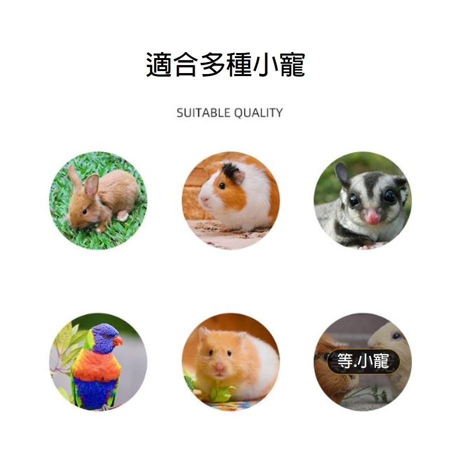 【現貨+免運】倉鼠籠 鼠籠 倉鼠籠子 雙層鼠籠 特大鼠籠 小寵籠子 寵物籠 黃金鼠籠 鼠籠 小寵物窩 倉鼠飼養箱 飼養籠-細節圖2