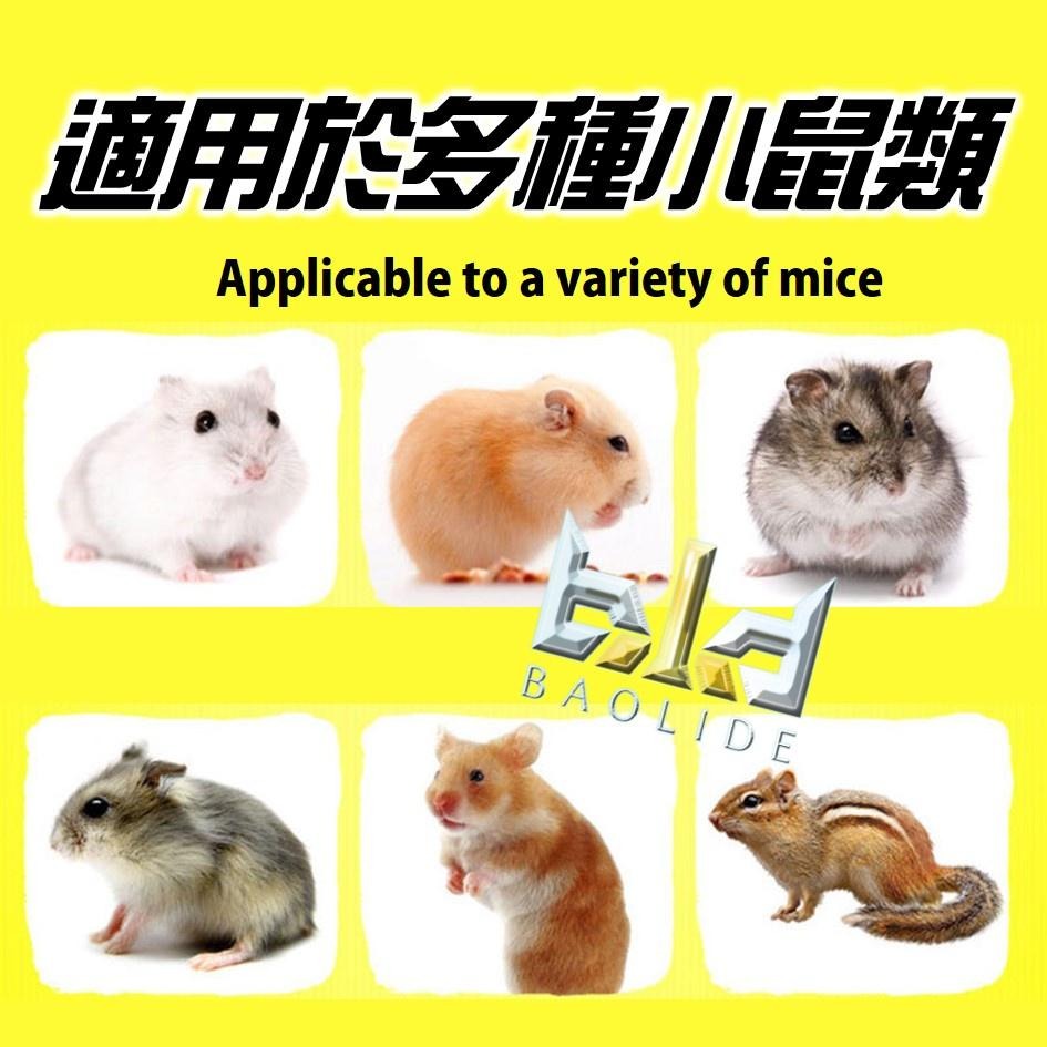 【現貨+免運-原裝進口】 Little One 倉鼠飼料 鼠飼料 老鼠飼料 黃金鼠飼料 小倉鼠飼料 倉鼠主食  倉鼠零食-細節圖9