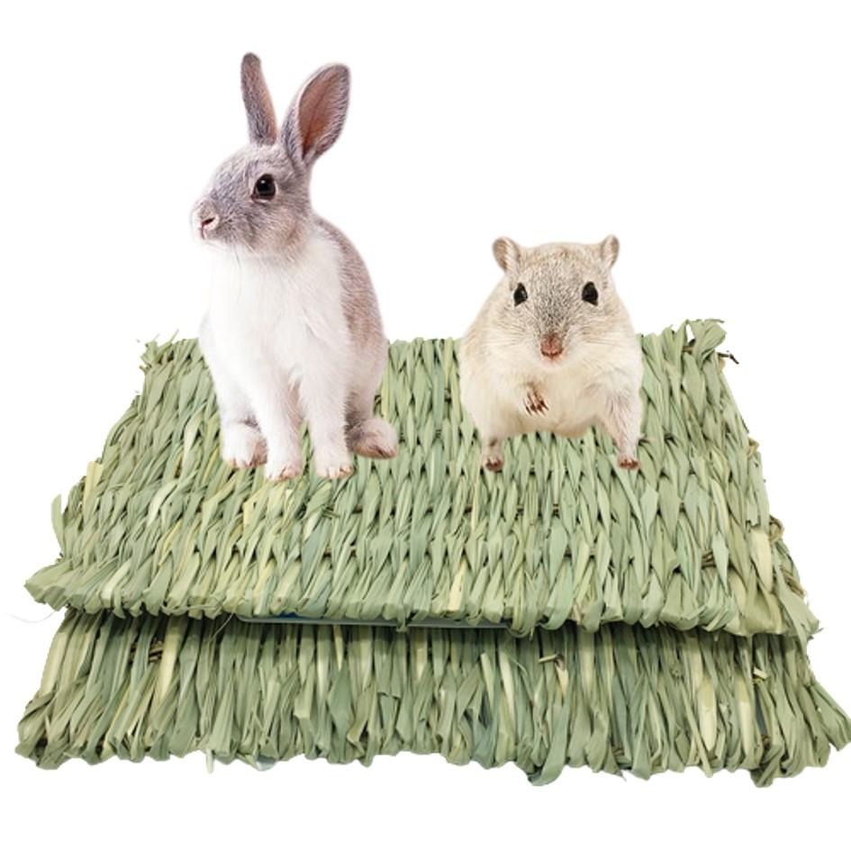 【現貨+免運】小寵編織草墊 啃咬磨牙草墊 編織草墊 牧草 倉鼠草窩 兔子草墊 兔子磨牙 手工編織草墊 倉鼠草蓆 倉鼠涼墊-細節圖2