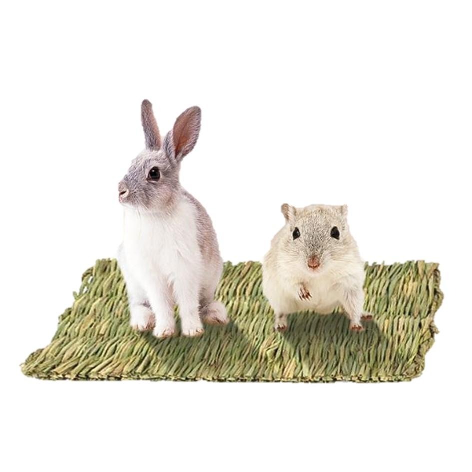 【現貨+免運】小寵編織草墊 啃咬磨牙草墊 編織草墊 牧草 倉鼠草窩 兔子草墊 兔子磨牙 手工編織草墊 倉鼠草蓆 倉鼠涼墊-細節圖4