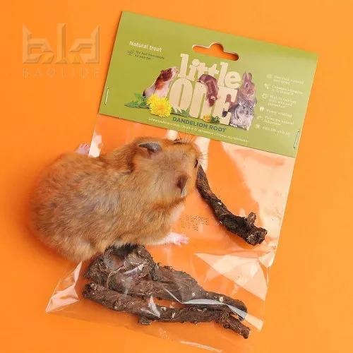 【現貨+免運】 LittleOne 蒲公英根 榛果枝 倉鼠用品 倉鼠磨牙棒 磨牙用品 倉鼠 天竺鼠 黃金鼠 蜜袋鼯小動物-細節圖3