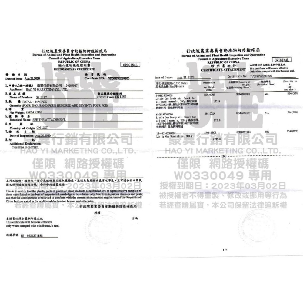 【現貨+免運】 LittleOne 蒲公英根 榛果枝 倉鼠用品 倉鼠磨牙棒 磨牙用品 倉鼠 天竺鼠 黃金鼠 蜜袋鼯小動物-細節圖7