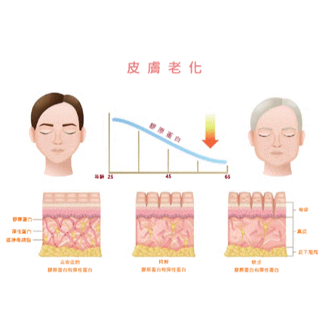 美妍寶膠囊(500mg/60粒/瓶)-細節圖7