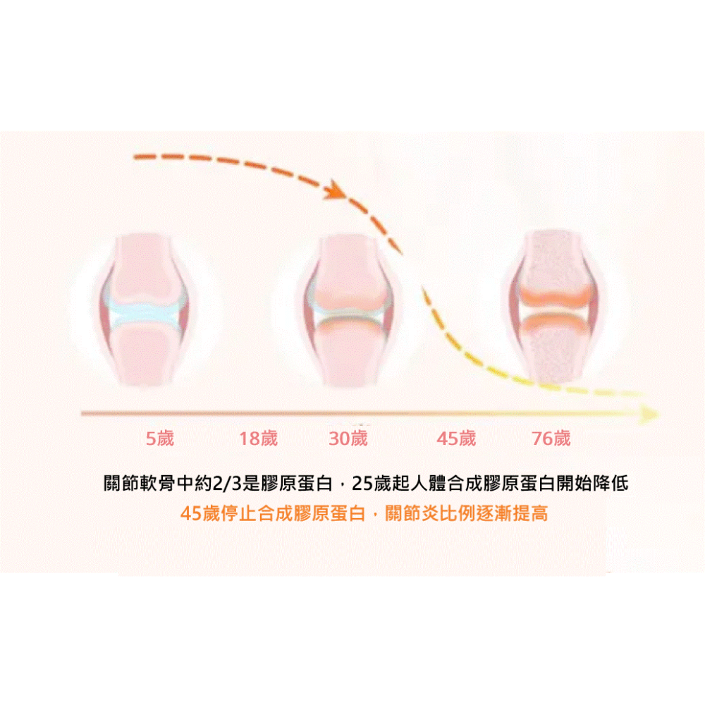 美妍寶膠囊(500mg/60粒/瓶)-細節圖8