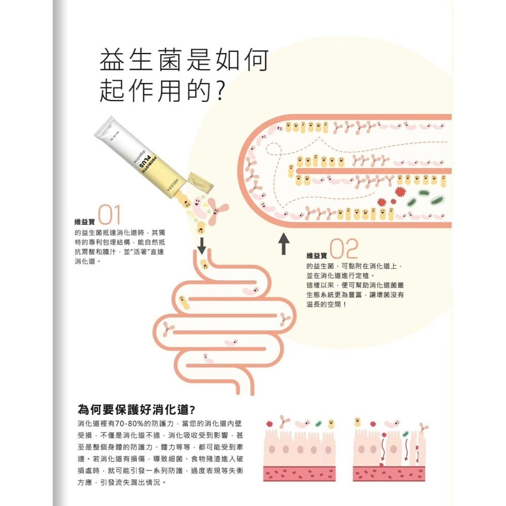 ‼️正品公司貨‼️ 維益寶消化益生菌 #乳酸菌、調整腸道好菌、幫助消化、排便順暢的好幫手-細節圖4