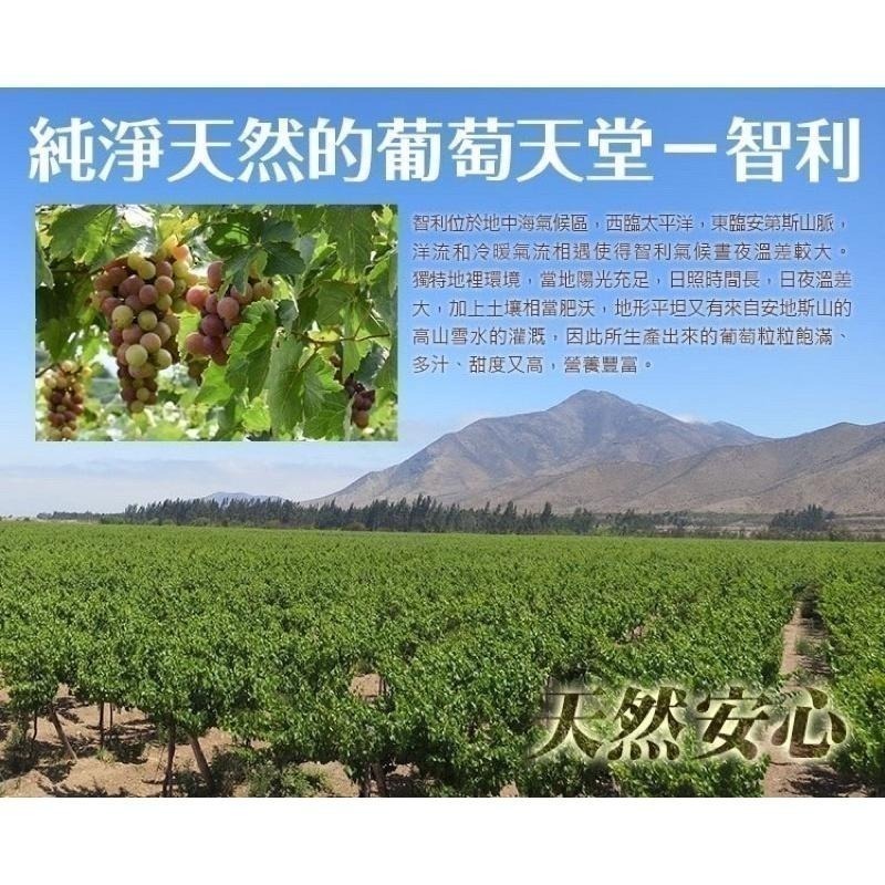 海莉家【美味田】巴薩米克醋葡萄乾 (有籽/無籽) 黑白大廚 chef 愛用的靈魂調味-細節圖2
