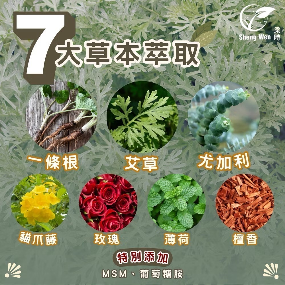海莉家【梁時】艾草精油貼片（艾草暴富貼）一夜暴富/升職加薪/小人退散/金榜題名（交換禮物🎁-細節圖3