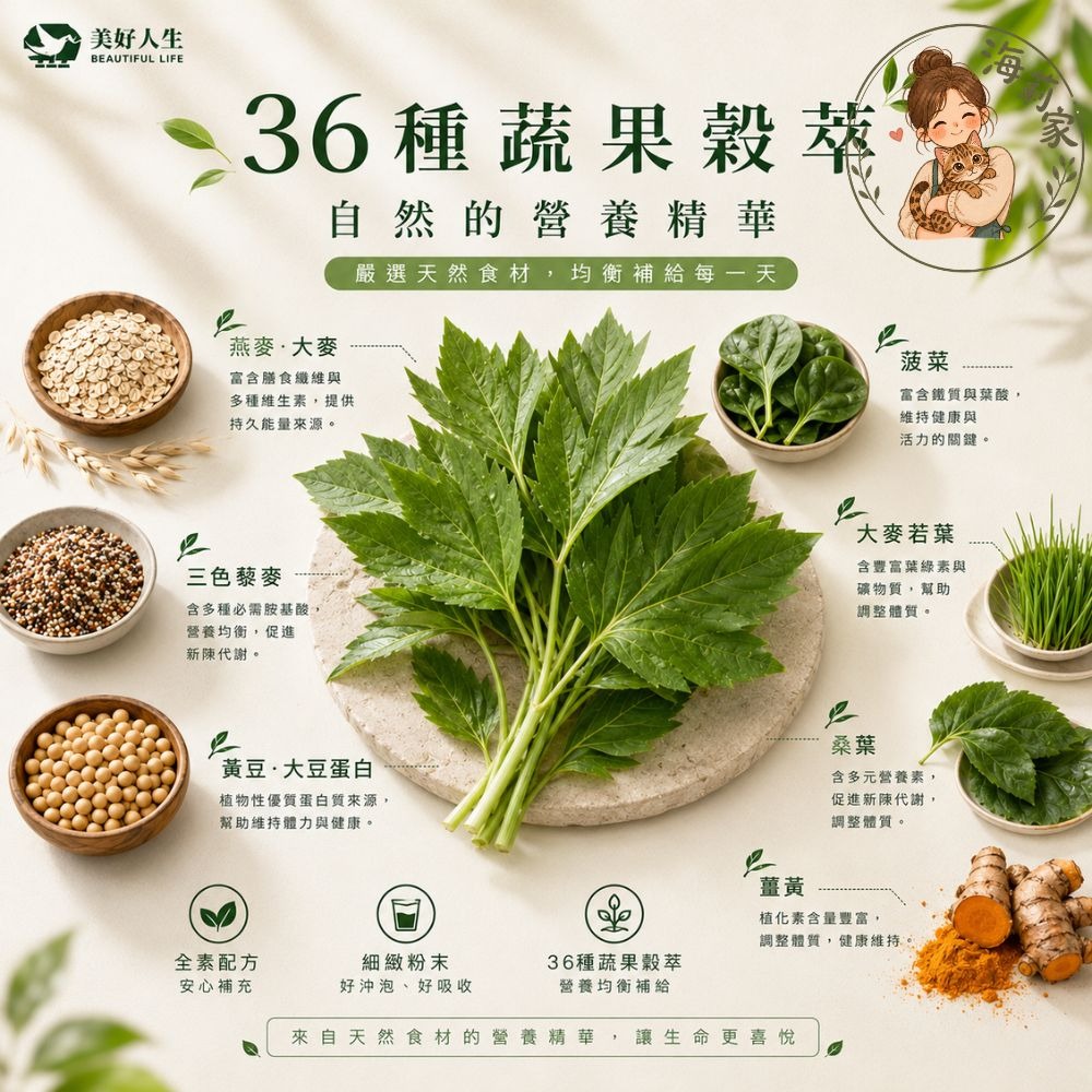 明日葉精力湯｜36種蔬果穀萃｜全素沖泡粉｜盒裝30入｜袋裝10入｜美好人生｜外食族營養補充｜綠拿鐵-細節圖4
