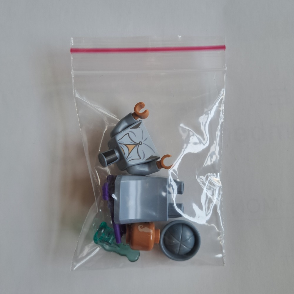 Lego 樂高 75951 哈利波特 賽拉菲娜 怪獸與他們的產地 葛林戴華德的罪行 拆賣 全新-細節圖2