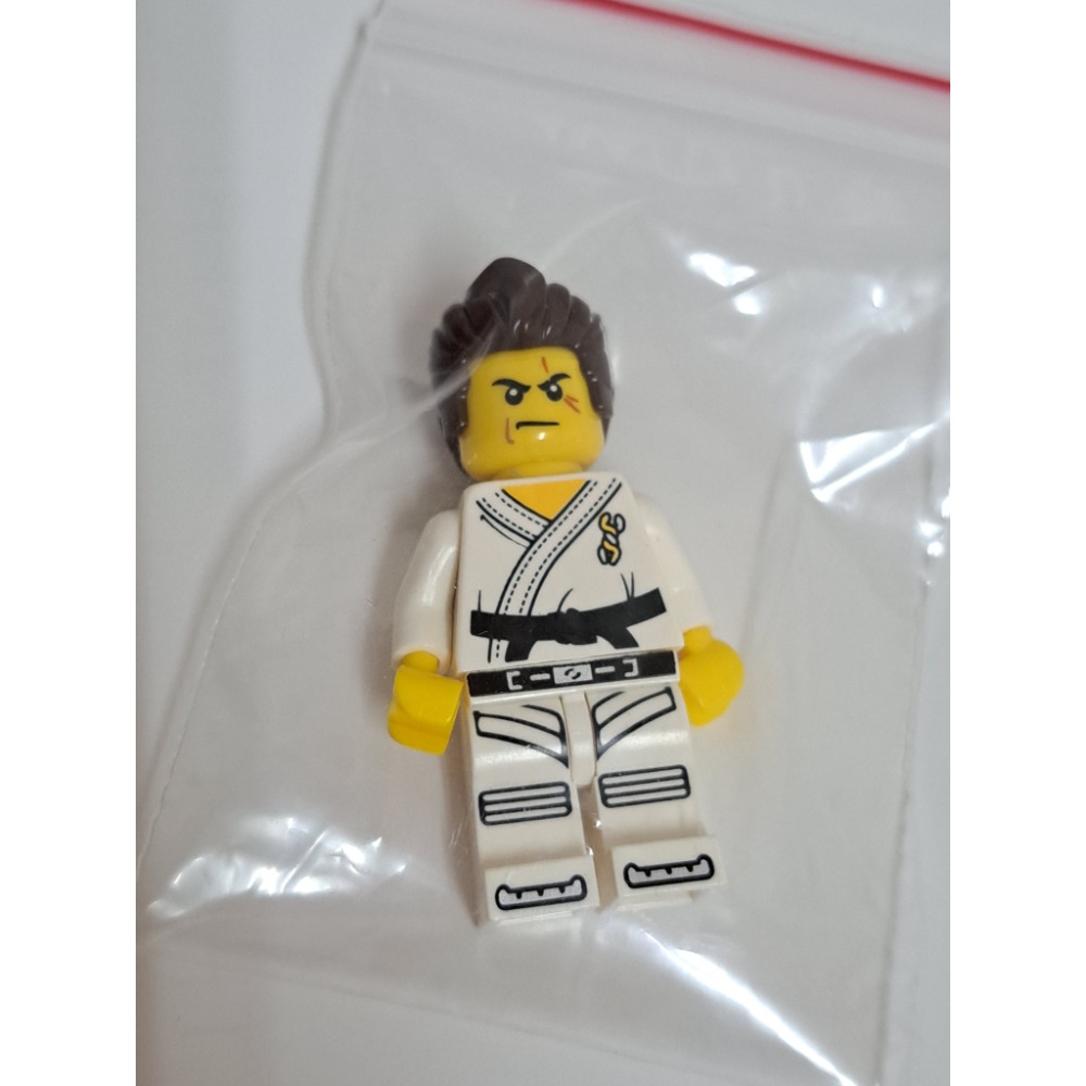 Lego 樂高 5004422 拆賣 柔道 勇士 人偶 全新 玩具反斗城限定-細節圖2