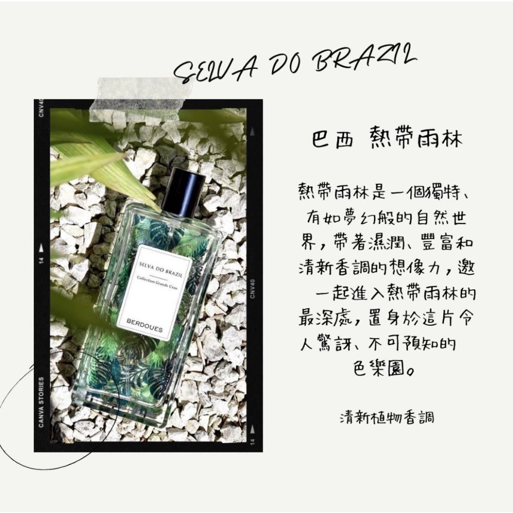 粧田香水BERDOUES Collection Grands Crus 巴西 熱帶雨林淡香精100ml-細節圖3